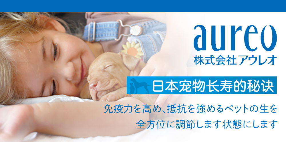 1646375288872532.jpg aureo.jpg