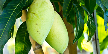 1647411329336205.jpg 2.jpg