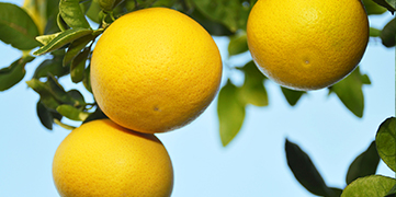 1647411392191941.jpg 4.jpg