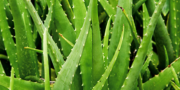 1647411407207676.jpg 5.jpg