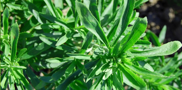 1647411423254149.jpg 6.jpg