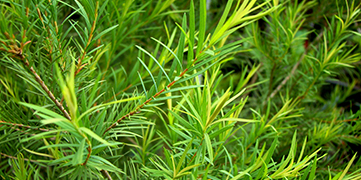 1647919406800504.jpg 未标题-2.jpg